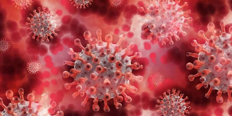 How to protect kids and yourself from delta plus Covid-19 variant