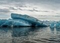 global warming impact