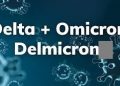 Delmicron variant