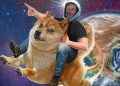 Elon Promoting Dogecoin