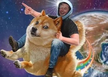 Elon Promoting Dogecoin