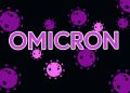 Omicron Diet Plan