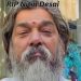 Nitin Desai Death